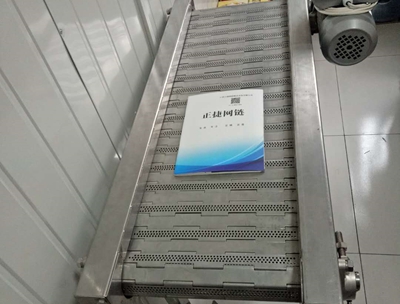 链板输送机8.jpg