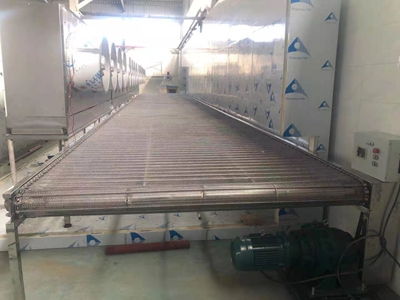 速冻隧道网带线.jpg