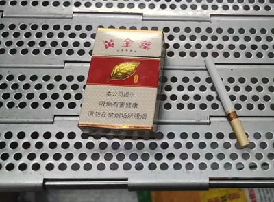 冲孔链板和烟
